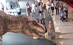 Nat Geo: Live AR Event in Romania