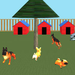 Dogville Delight
